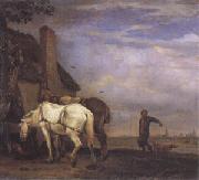 POTTER, Paulus Two Drafthorses in Front of a Cottage (mk05) china oil painting reproduction